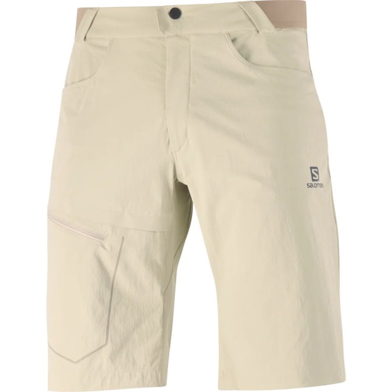 Khaki Salomon Wayfarer Men's Shorts | IE SR6018